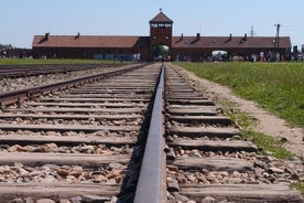 Auschwitz-Birkenau y la mina de sal de Wieliczka en dos días