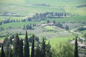 Poetisk Valdorcia