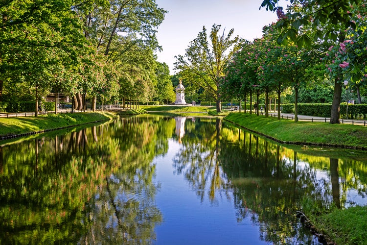 Blossoming chestnut trees in Tiergarten Berlin , Germany.