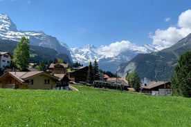 Jungfraujoch Top of Europe and Region Private Tour from Lucerne