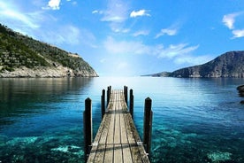 Visita turística por Como y Bellagio y crucero por el lago