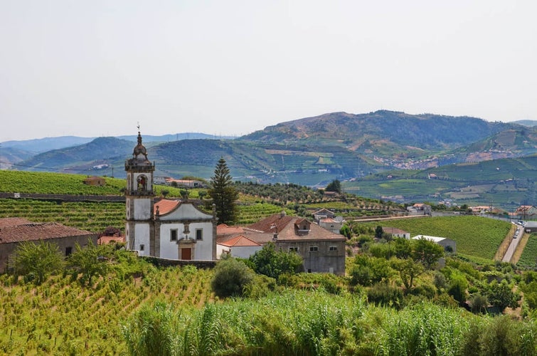 Photo of Igreja Matriz de Fontelas Church in Peso da Regua, Portugal. 