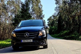 Private Taxi Transfer to/From Porto Airport