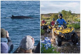 Hvalsafari og ATV-eventyr fra Reykjavik