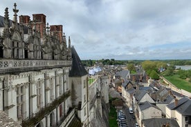 Loire Valley Castles VIP Private Tour: Chambord, Chenonceaux, Amboise 