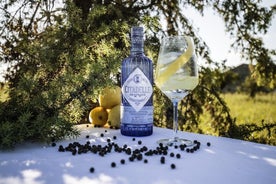 Tour della distilleria di gin Citadelle