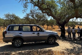 オプションのランチ付きの4x4コルクツアー