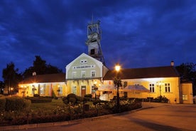 En dag Krakow och Wieliczka Salt Mine privata turné från Warszawa