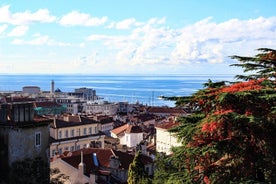 Trieste comme un local: Visite privée sur mesure