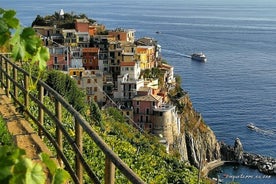 Ligurische Farben, Cinque Terre Ganztägiger privater Transferausflug von Mailand