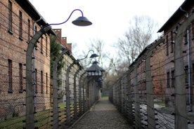 Auschwitz Birkenau guidad tur - Minnesmärke och museum