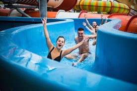 Toegangsticket voor het AquaPalace Waterpark in Praag