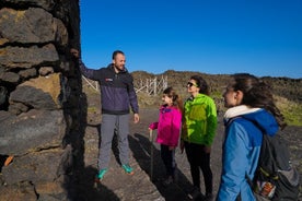 Excursion privée d'une demi-journée à l'Etna Trekking au départ de Taormina