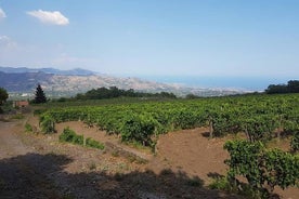 Vintur i Linguaglossa og i tillegg besøk av Taormina fra Giardini Naxos