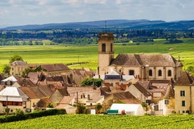 Privé Bourgondische Côte de Beaune wijnreiservaring vanuit Beaune