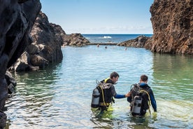 Plongée dans l'aquarium de Madère