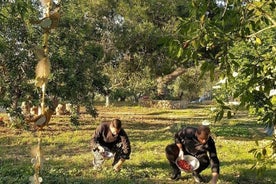 Argostoli : délices de la ferme et saveurs intemporelles