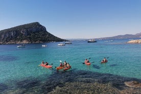 Paseo en kayak con aperitivo y delfines