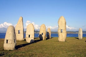 Tour privato della città di A Coruña - Escursione a terra