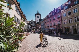 Discover Freiburg Private Walking Tour