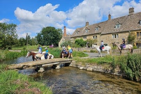 Cotswolds Private Day Tour from Winchester