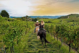 San Gimignano: giornata intera in un'azienda vinicola toscana