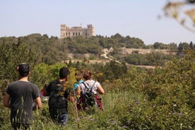 Buskett Woodlands 和 Dingli Cliffs 自然徒步私人之旅