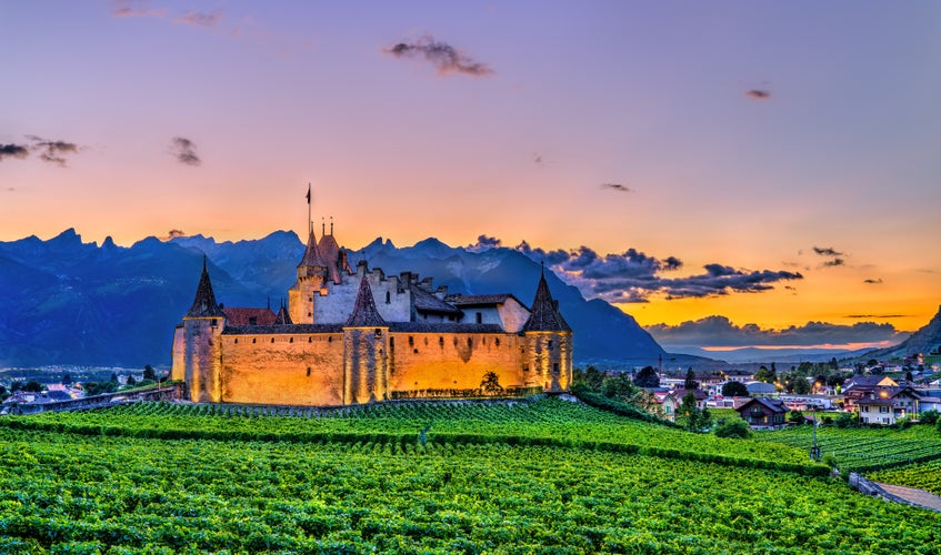 photo of view of Aigle Castle with vineyards in the Canton of Vaud at sunset. Switzerland.