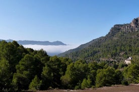 Tarragona, rústir og Priorat einkatúr - Hótel sótt frá Salou/Tarragona