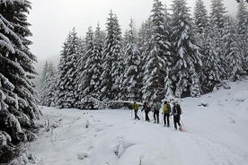 Excursión de todo el día a la montaña Vitosha con raquetas de nieve desde Sofía