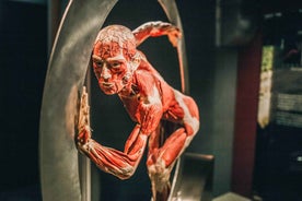 Heidelberg: Aðgangsmiði í BODY WORLDS safnið