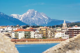 Naples, Italy. View of the Gulf of Naples from the Posillipo hill with Mount Vesuvius far in the background and some pine trees in foreground.