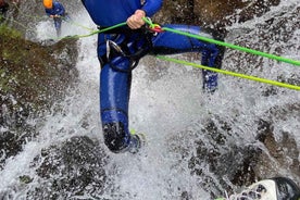 From Funchal: Madeira Island Canyoning for Beginners