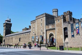 Cardiff: Doctor Who City Walking Tour