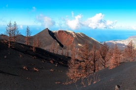 タホガイテ火山へのハイキング付き 1 日ツアー