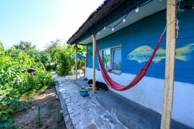 Danube Delta Hostel Homestay