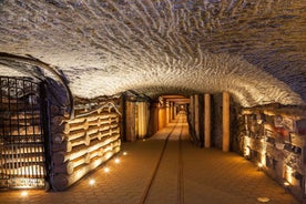 Frá Kraká: Leiðsögð ferð um Wieliczka Salt Mine