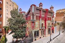 Casa Vicens (première maison de Gaudi). Entrée directe