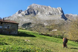 Tour Privado Visitando Pueblos, Bosques y Valles de Bizkaia