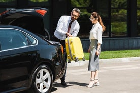 Privater Transfer zum internationalen Flughafen Keflavik von/nach Reykjavik