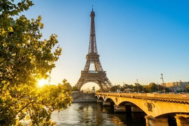 Deluxe Paris Shore Excursion with Seine Cruise from Le Havre