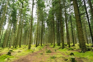 Rogaland Arboretum