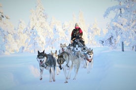 8-10km Husky Ride in the Taiga Forest and visiting the Kennel 