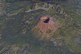 個人ツアー： ヘルクラネウム、ヴェスヴィオ山、ポンペイへの日帰り小旅行