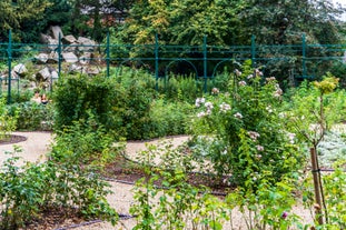 Iveagh Gardens