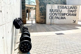 Tour privato in Segway VIP di Palma