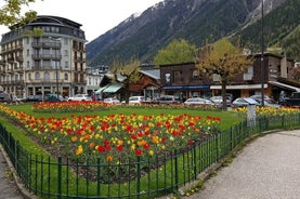 Chamonix einkagönguferð með faglegum leiðsögumanni