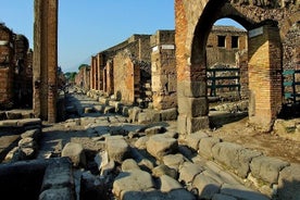 Pompeya y la costa de Amalfi en un día desde Nápoles