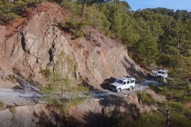 Excursión en 4x4 a las montañas Troodos con almuerzo Meze desde Ayia Napa