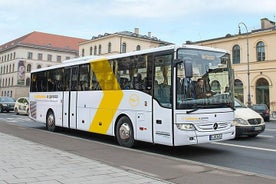 Fælles Afrejse Transfer: München Central Station til München Lufthavn